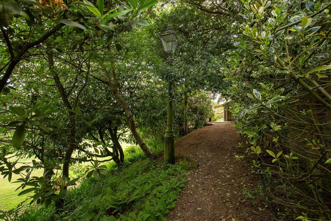 博雷汉姆之家住宿加早餐旅馆 赫斯特蒙苏 外观 照片